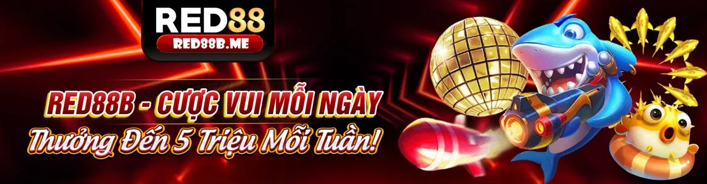 Các loại khuyến mãi hấp dẫn tại 247asia